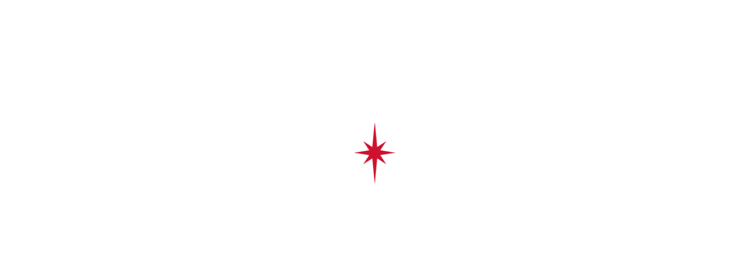 Stella Artois